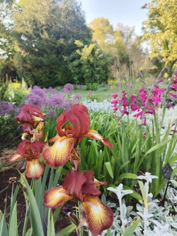 Weekly catch up with garden and propagation
