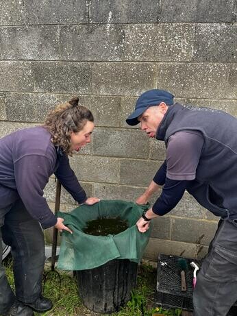 Weekly catch up with garden and propagation