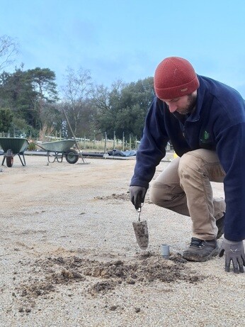 Weekly catch up with garden & propagation