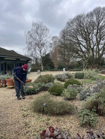 Weekly catch up with garden & propagation