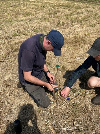 Weekly catch up with garden & propagation