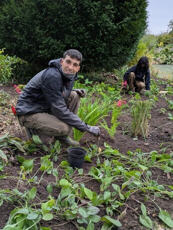 Weekly catch up with garden and propagation
