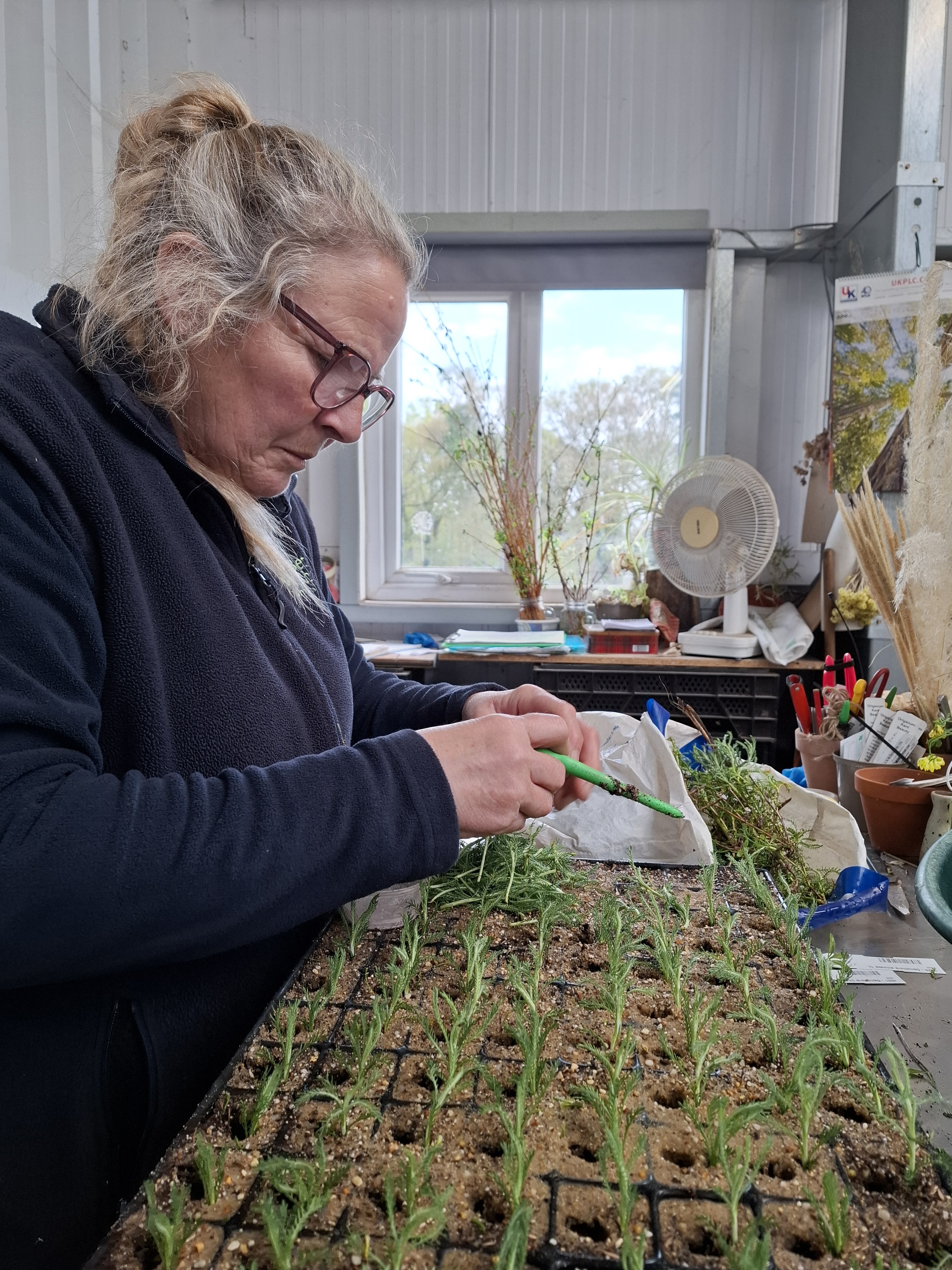 Weekly catch up with garden & propagation