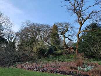 Renovation Work in the Water Garden