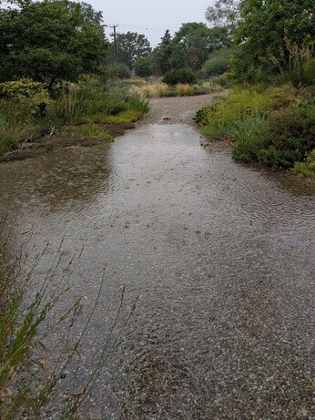 A look back at 2025 with the garden team A look back at 2025 with the garden team