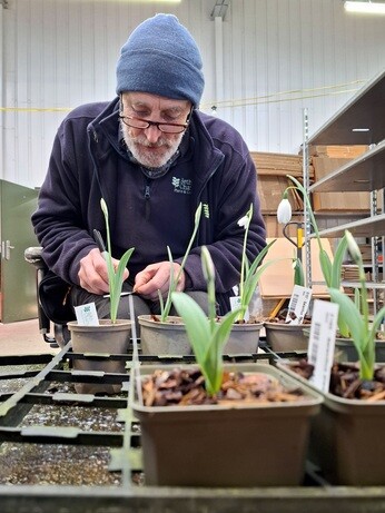 January news from the garden and propagation