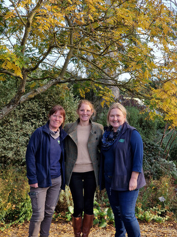 Growing for RHS Chelsea Flower Show