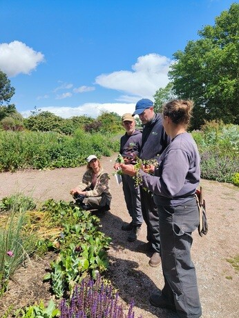 Weekly catch up with garden and propagation
