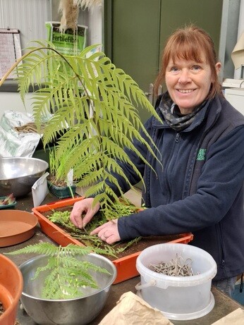 Weekly catch up with garden & propagation