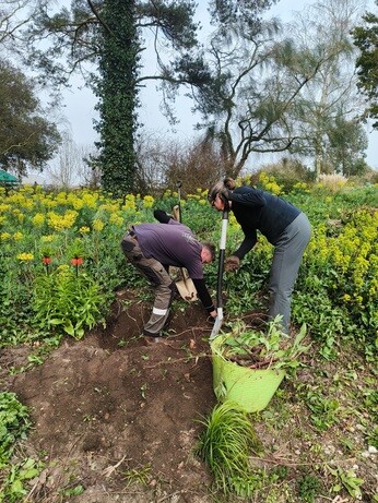 Weekly catch up with garden & propagation