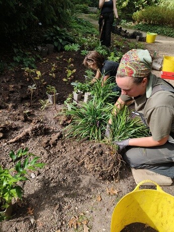 Weekly catch up with garden and propagation