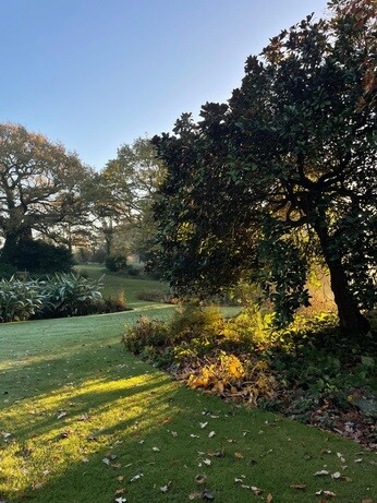 Weekly catch up with garden & propagation