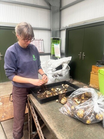 A look back at 2025 with the garden team A look back at 2025 with the garden team