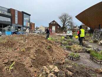 Colchester Meanwhile Garden