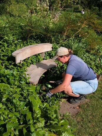 Weekly catch up with garden and propagation