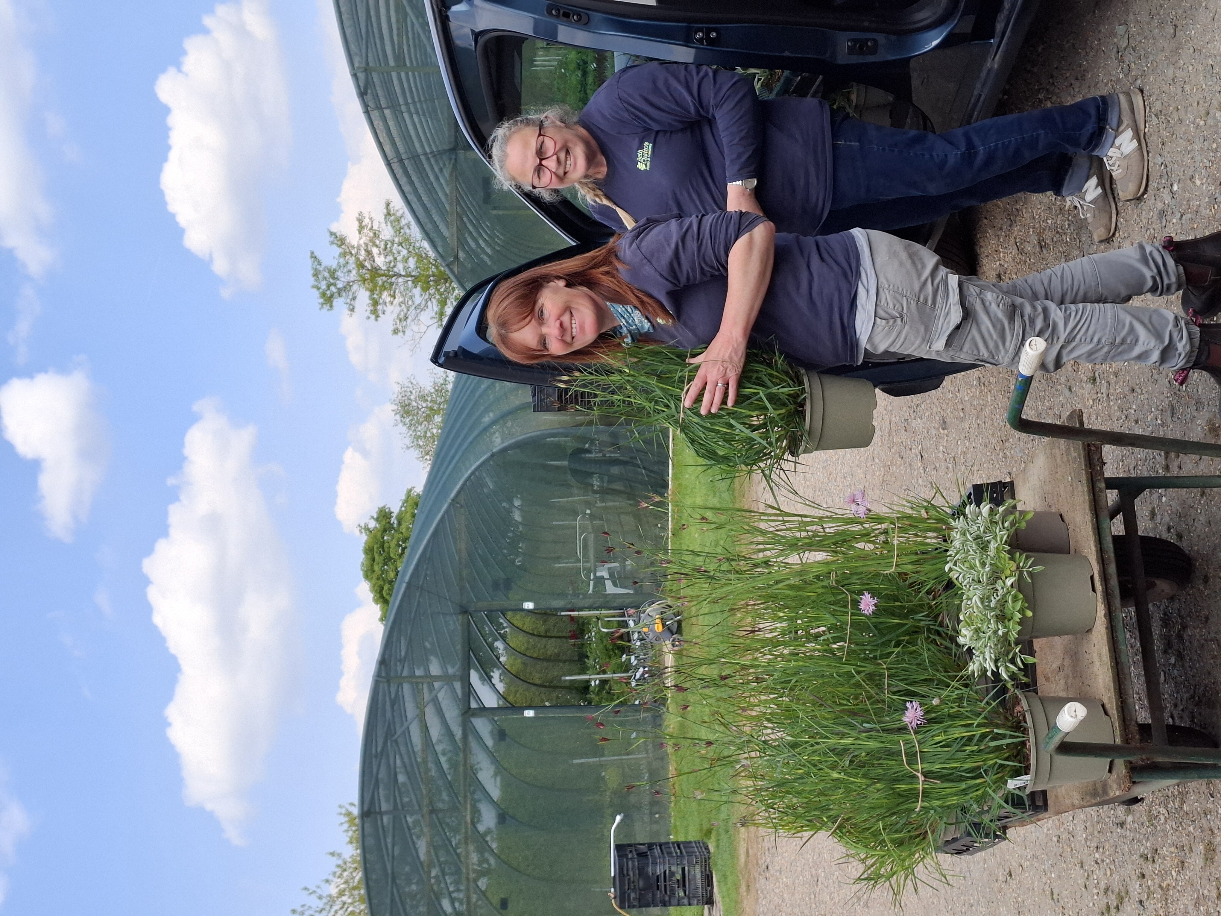 Weekly catch up with garden and propagation