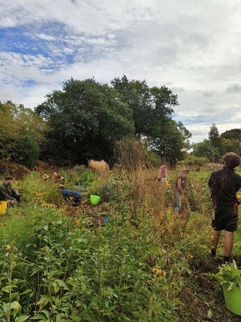 Weekly catch up with garden and propagation