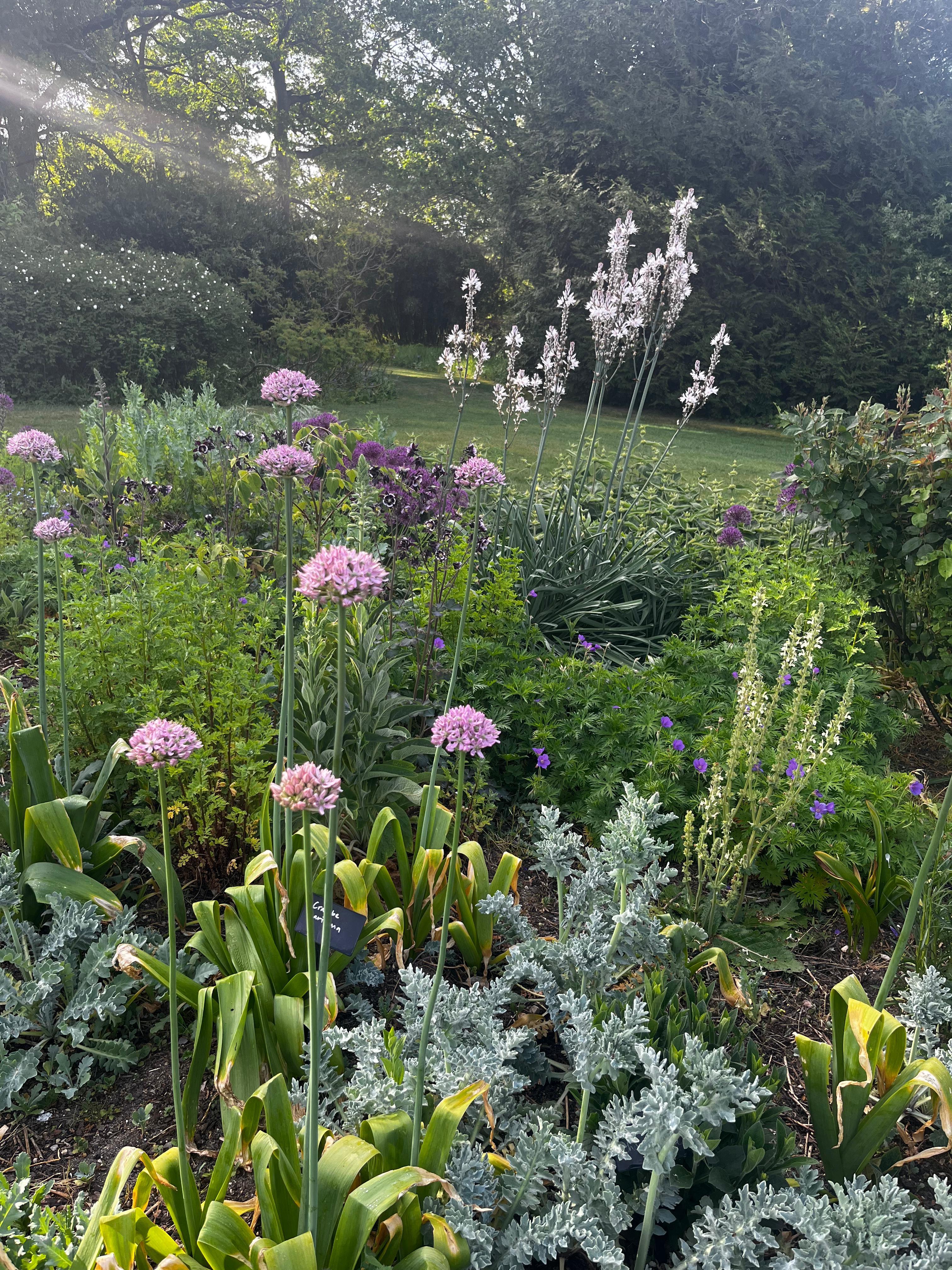 Weekly catch up with garden and propagation