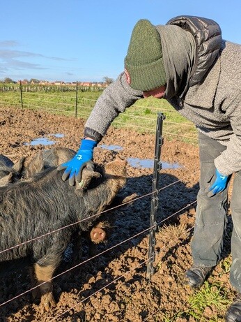 Weekly catch up with garden & propagation