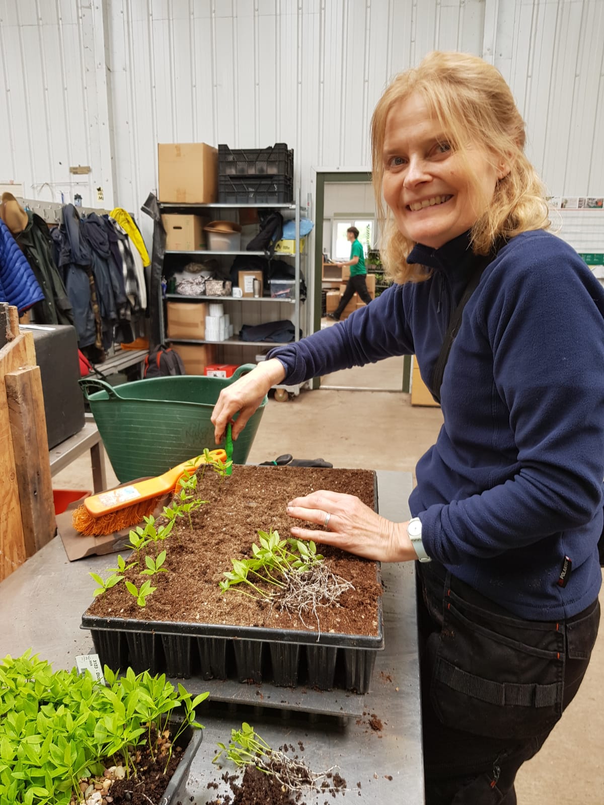 Weekly catch up with garden and propagation