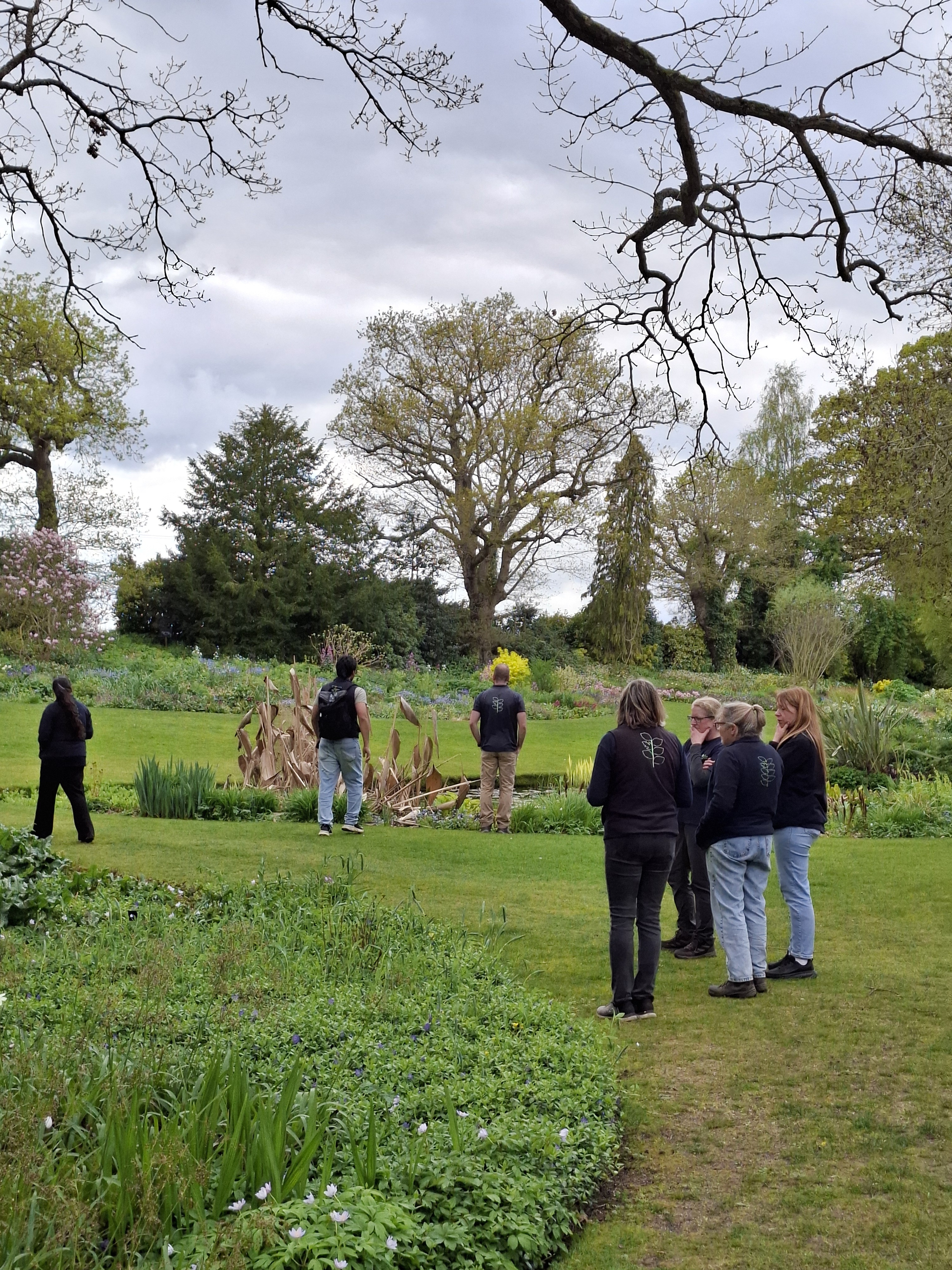 Weekly catch up with garden & propagation