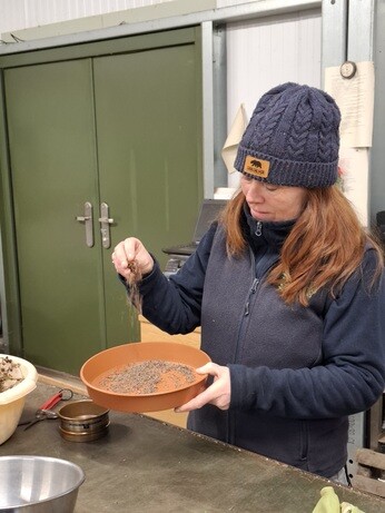 Weekly catch up with garden & propagation Weekly catch up with garden & propagation