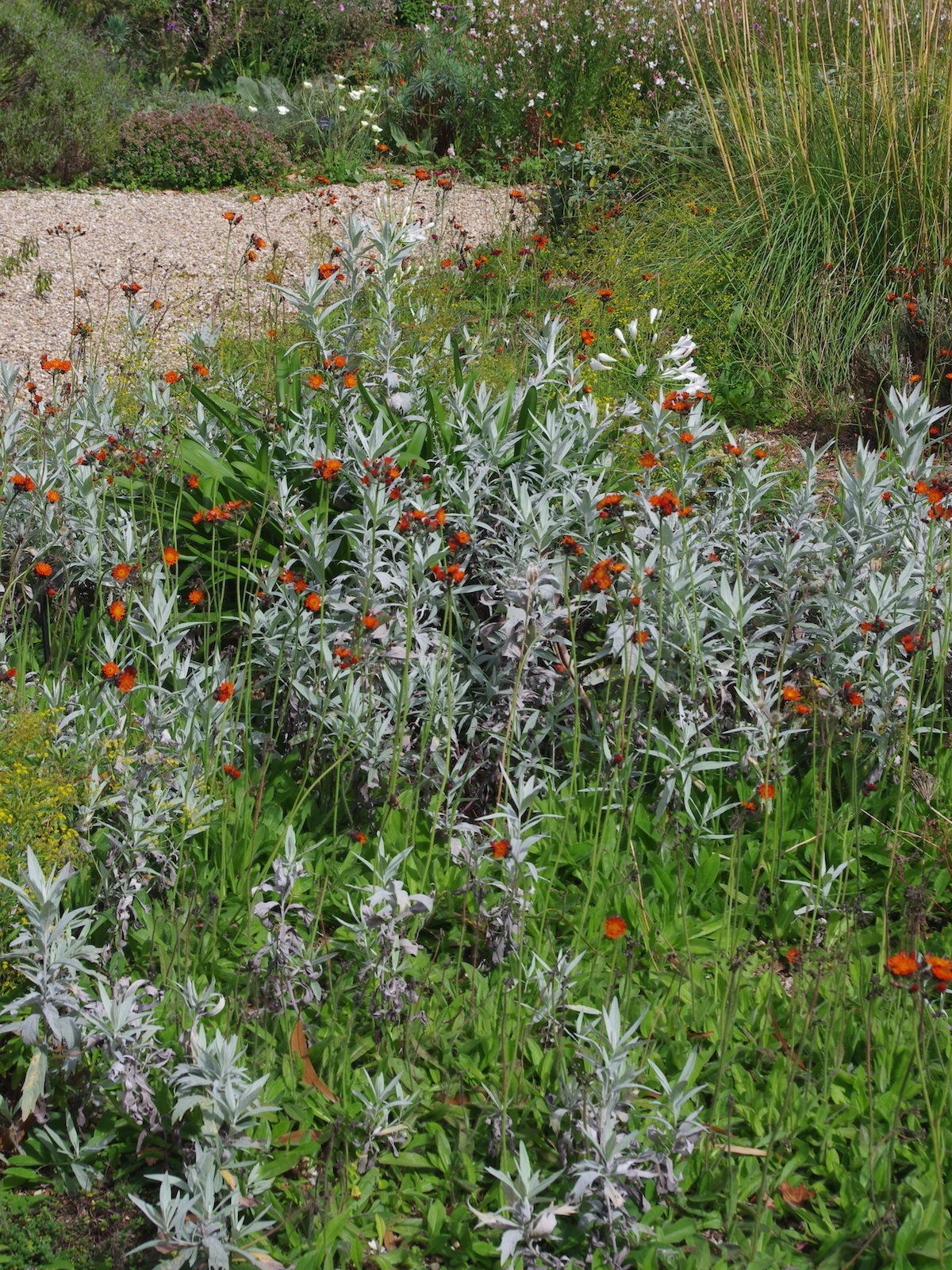Fabulous foliage