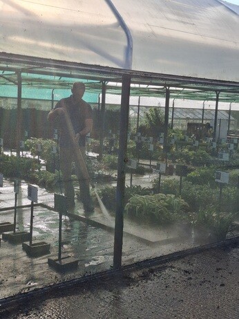 Weekly catchup with garden and propagation