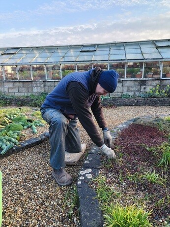 Weekly catch up with garden & propagation