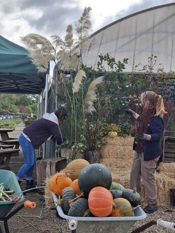 Weekly catch up with garden and propagation