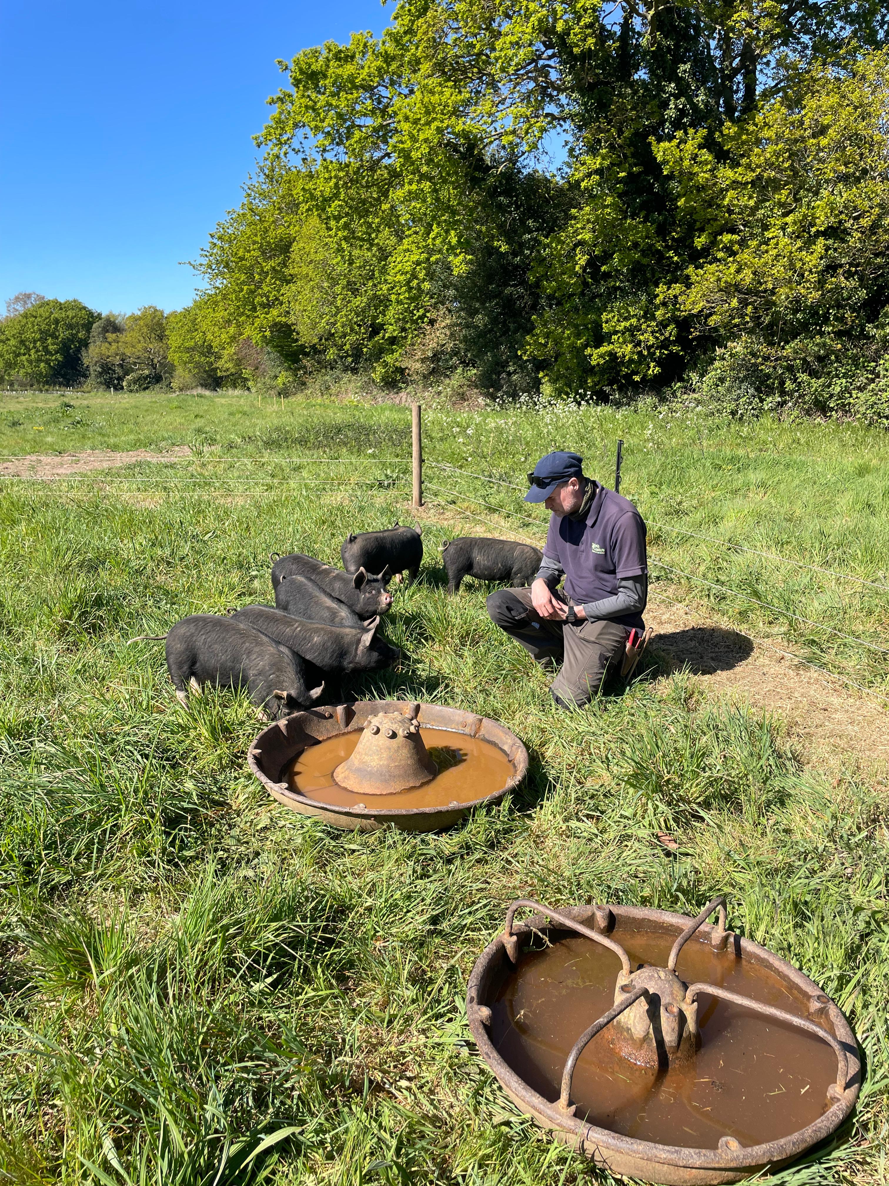 Weekly catch up with garden & propagation