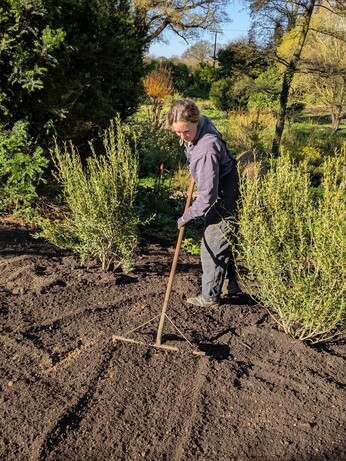 Weekly catch up with gardens & propagation