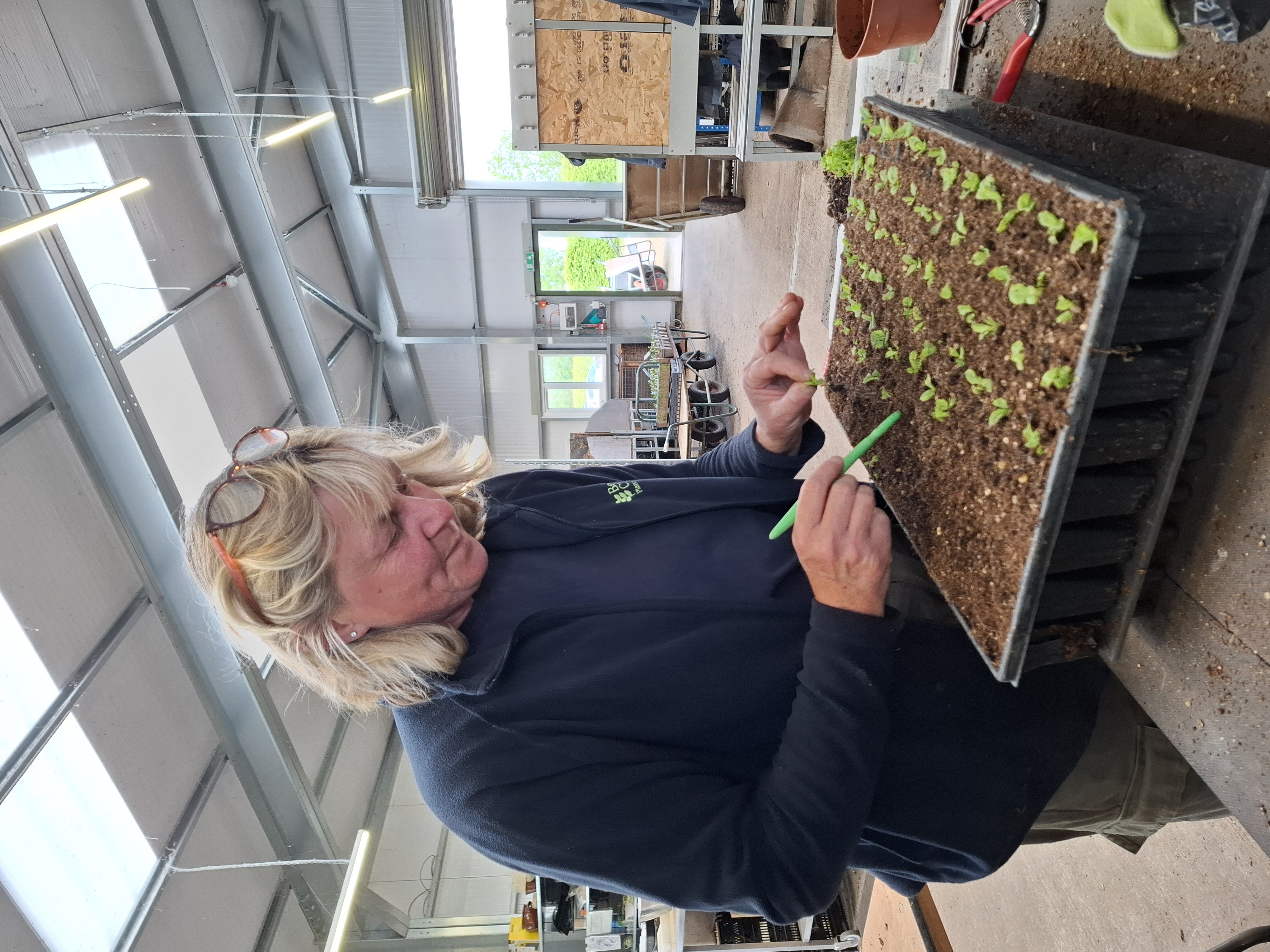 Weekly catch up with garden and propagation