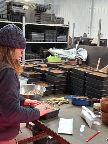 Weekly catch up with garden & propagation