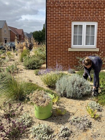 Weekly catch up with garden & propagation