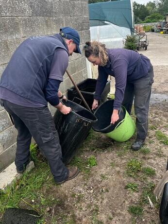 Weekly catch up with garden and propagation