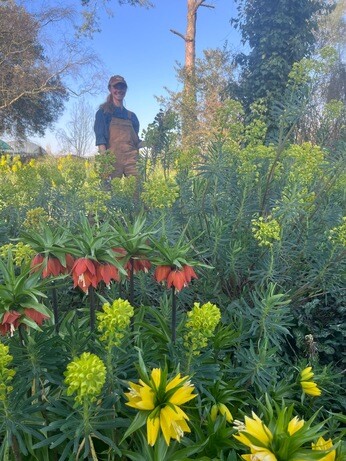 Weekly catch up with gardens & propagation 