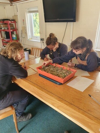 Weekly catch up with garden & propagation