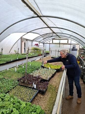 Weekly catch up with gardens & propagation