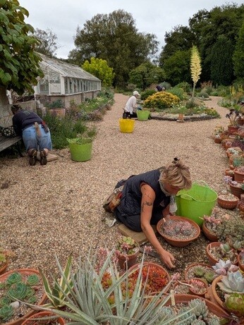 Weekly catch up with garden and propagation Weekly catch up with garden and propagation
