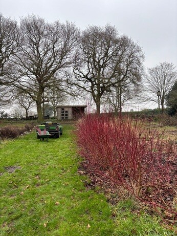 Weekly catch up with garden & propagation