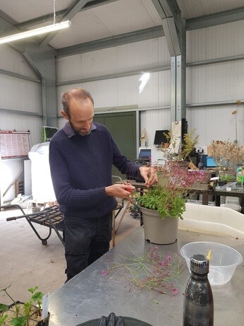 Weekly catchup with garden and propagation Weekly catchup with garden and propagation