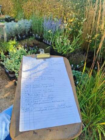 Weekly catchup with garden and propagation Weekly catchup with garden and propagation