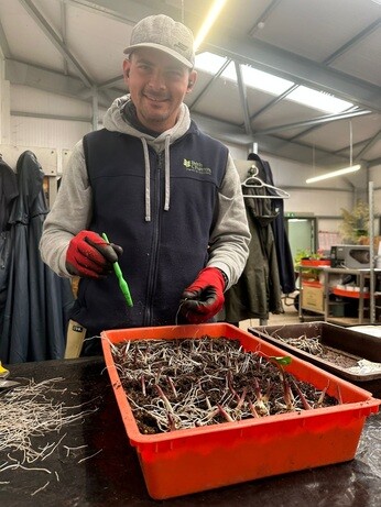 Weekly catch up with garden & propagation