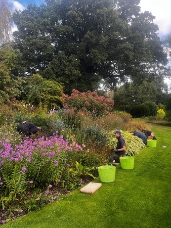 Weekly catch up with garden & propagation