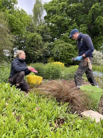 Weekly catch up with gardens & propagation