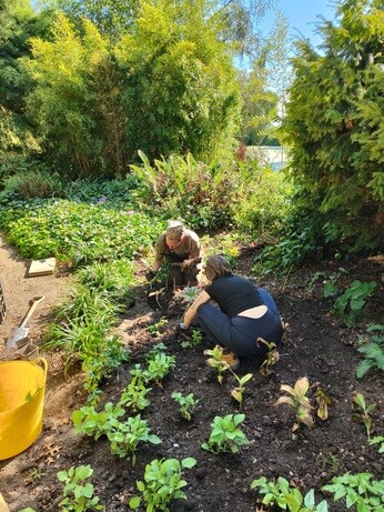 Weekly catch up with garden and propagation