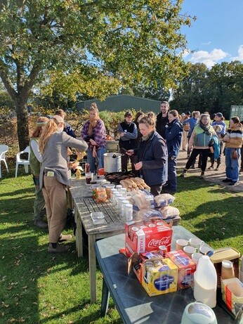 Weekly catch up with garden & propagation Weekly catch up with garden & propagation