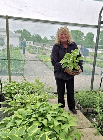 Weekly catch up with gardens & propagation