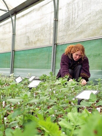 Weekly catch up with gardens & propagation